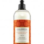 caldrea dish soap